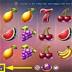 fruit extreme slot